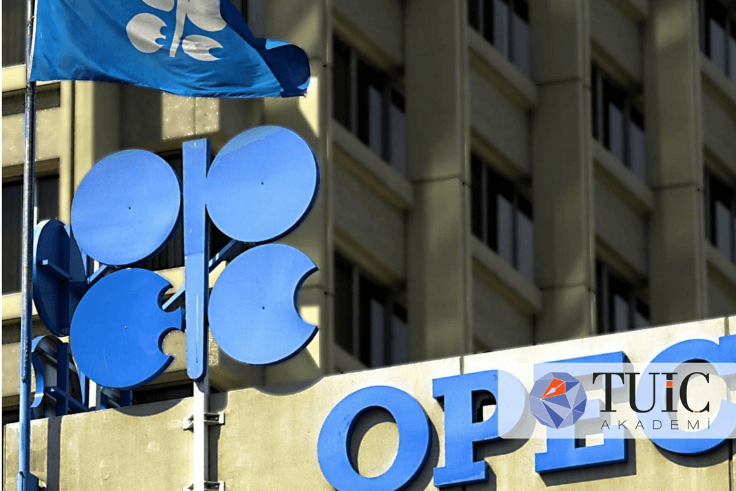 OPEC ve Petrol Krizi