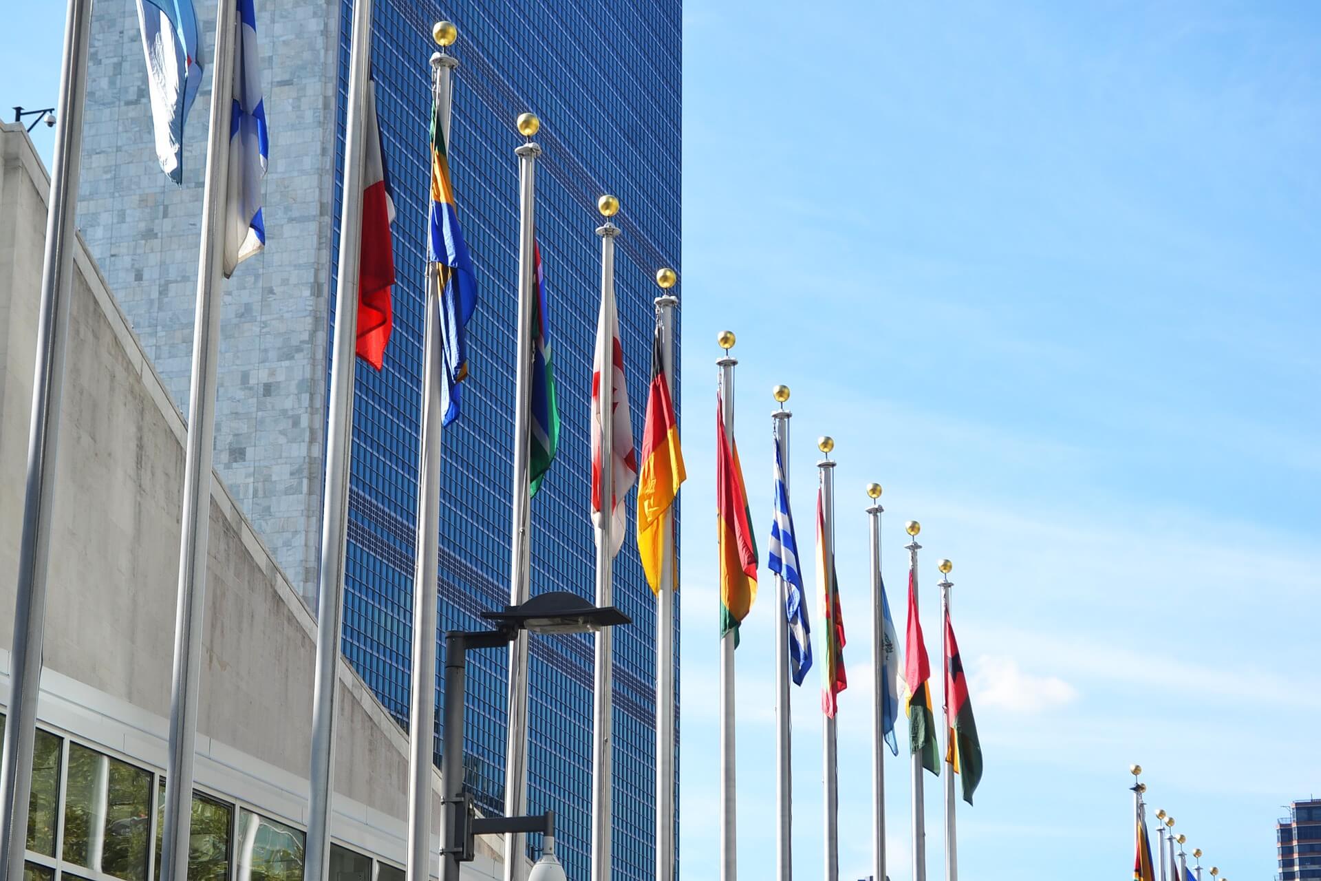 Birleşmiş Milletler Güvenlik Konseyi’ne Yönelik Eleştiriler ve Reform Talepleri